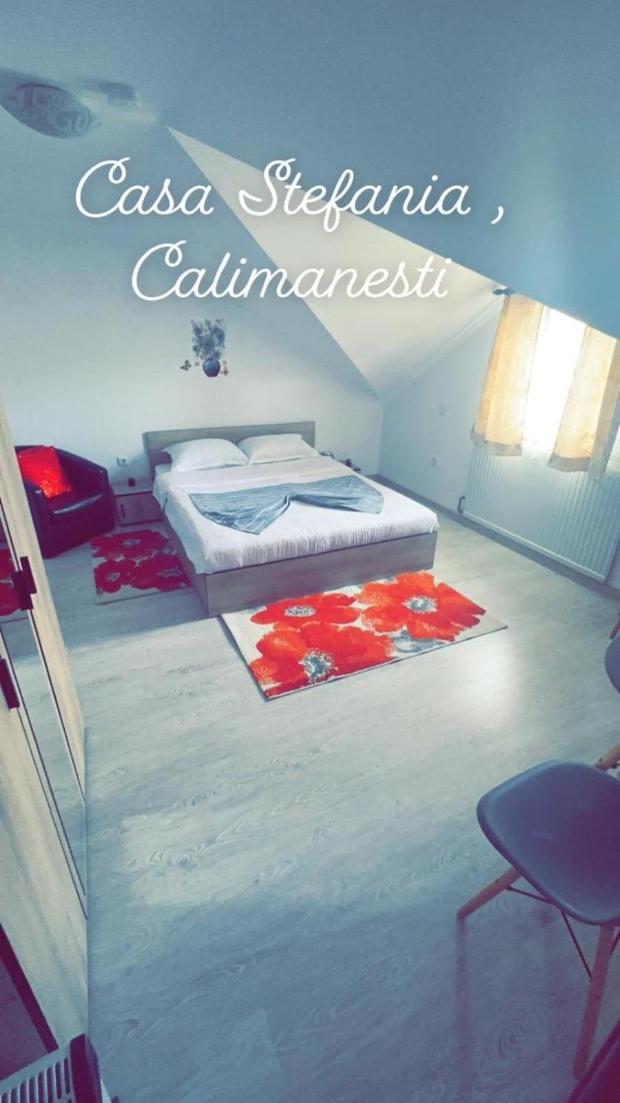 Casa Stefania 1 Apartment Călimăneşti Bagian luar foto