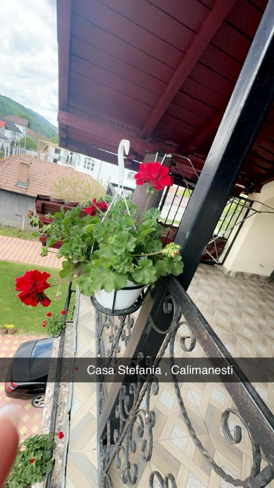 Casa Stefania 1 Apartment Călimăneşti Bagian luar foto